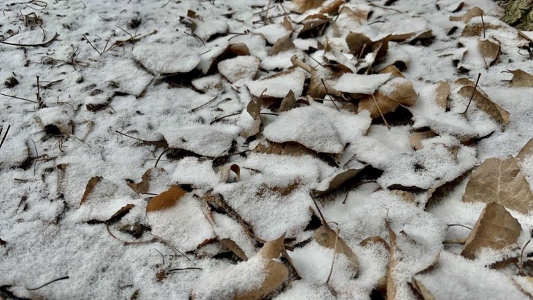 Kara hasret kalan Ağrı beyaza büründü6