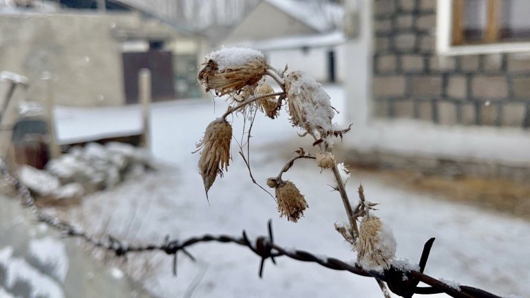Kara hasret kalan Ağrı beyaza büründü8
