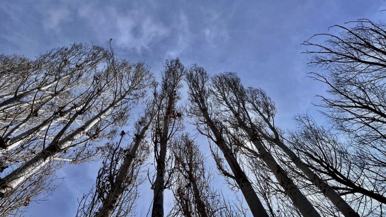 Kara hasret kalan Ağrı