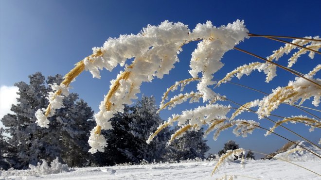 KARS - Cıbıltepe Kayak Merkezi kırağı ile beyaza büründü1