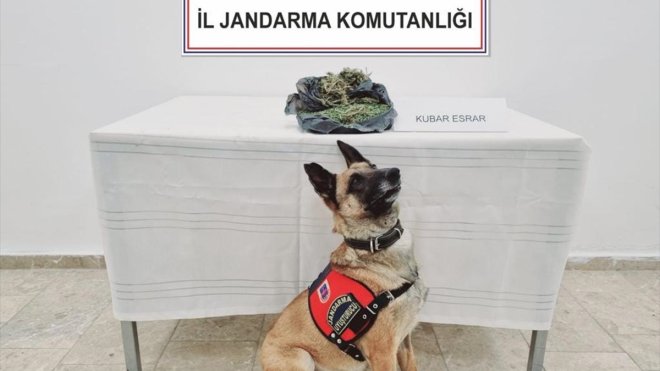 KARS - Digor ilçesinde 4 uyuşturucu kaçakçısı yakalandı1