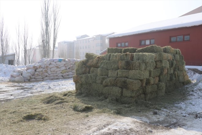 Ağrılı besicilerden deprem bölgesindeki hayvanlar için ot ve saman yardımı