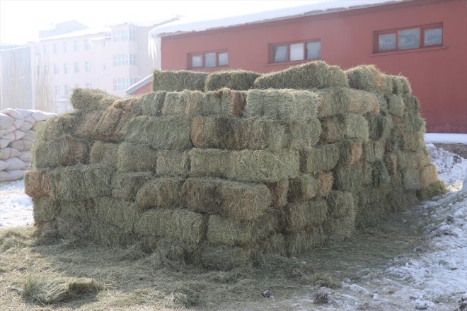 ot - ve deprem Besicilerden hayvanlar için bölgesindeki yardımı saman AĞRI 4