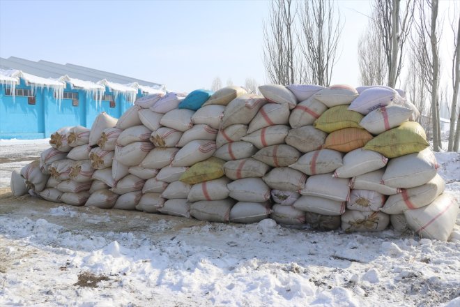saman yardımı ve bölgesindeki ot Besicilerden - AĞRI hayvanlar deprem için 7