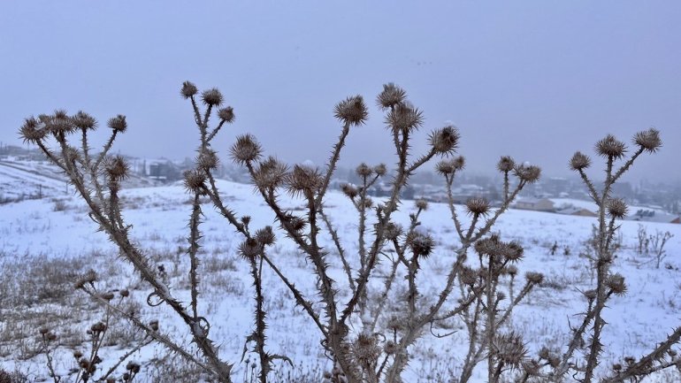 Ağrı, beyaz örtüsüyle göz kamaştırdı3