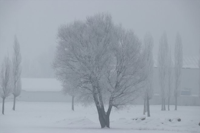 dondurucu - Doğu oldu Anadolu
