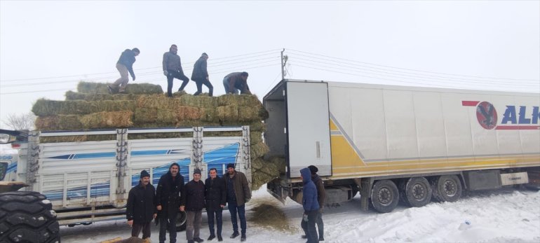 Ağrılı besici, deprem bölgesine hayvanlar için bir tır ot gönderdi2