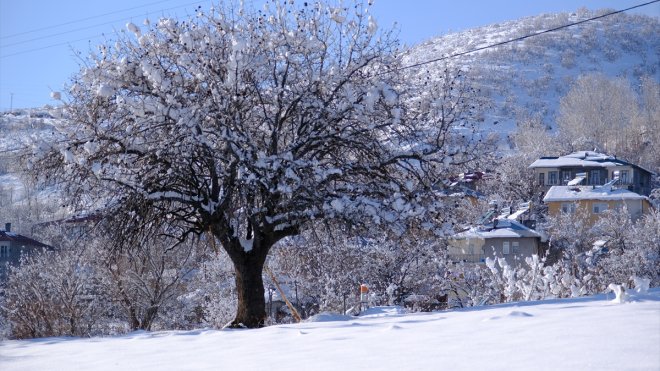 Bingöl ve Şırnak'ta 143 yerleşim yerine ulaşım sağlanamıyor