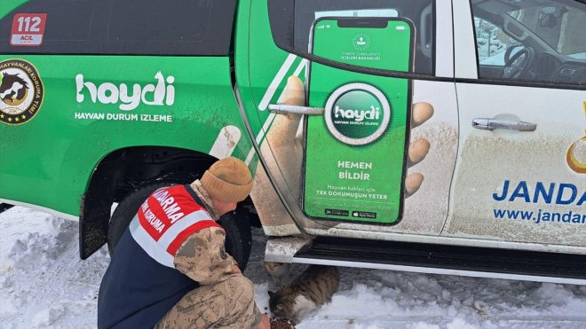 Bitlis'te jandarma personeli doğaya yem bıraktı