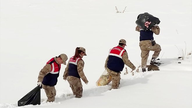 Hakkari'de jandarma ekipleri yaban hayvanları için doğaya yem bıraktı