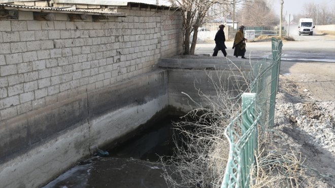 Iğdır'da sulama kanalına sıkışan balıklar kurtarıldı