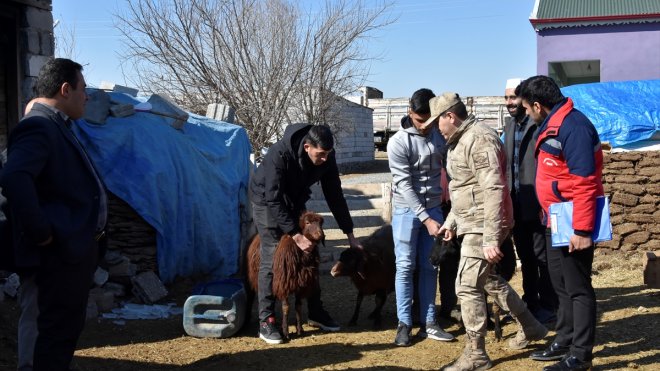 Iğdırlı çiftçilerin bağışladığı 1550 küçükbaşın eti pişirilerek deprem bölgesine gönderildi1