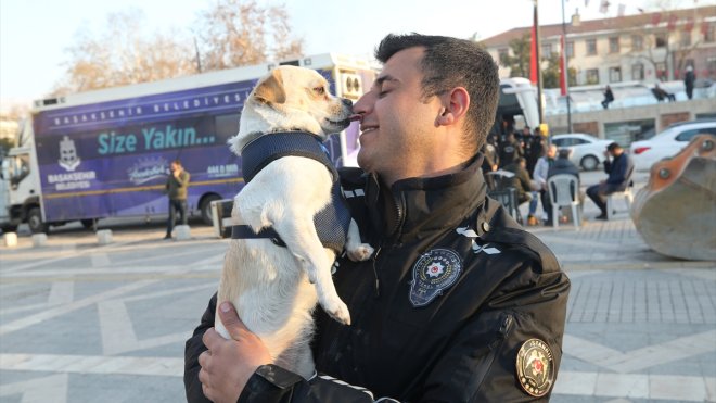 MALATYA - Deprem bölgesinde Afitap adlı köpeği çevik kuvvet sahiplendi1