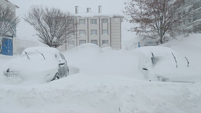 Tatvan'da kar etkili oluyor