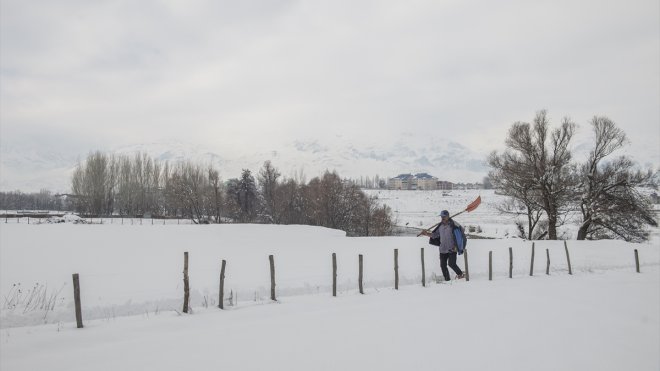 Tunceli'de besiciler karlı patikaları "hedik" ile aşıyor