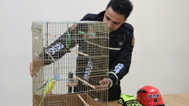 PAK ekibinin enkazdan 5 saatte kurtardığı 3 muhabbet kuşu Van Emniyet Müdürlüğünün maskotu oldu