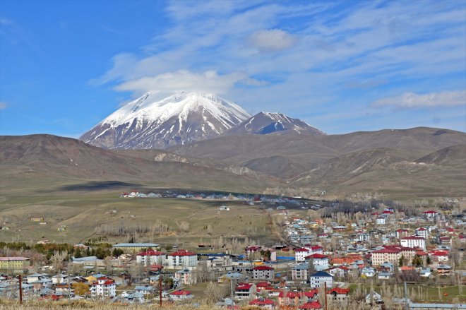 kaplandı AĞRI ilkbaharda - Kösedağ