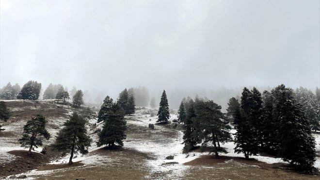 Ardahan'ın yüksek kesimlerine kar yağdı