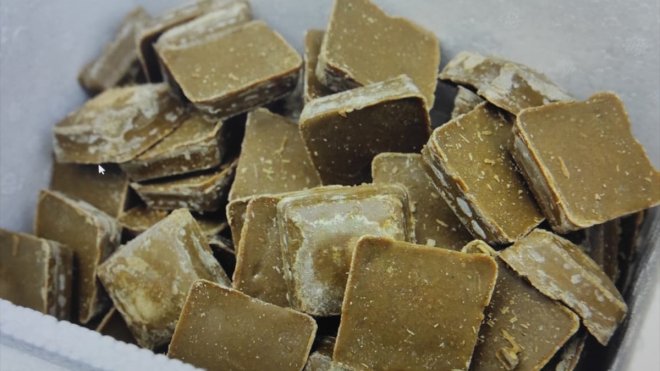 Bingöl'de kuduzla mücadele kapsamında havadan aşılı yem bırakılacak