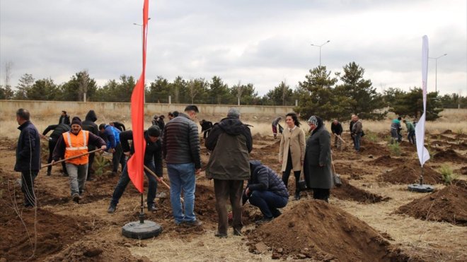 Doğu Anadolu'da '6 Şubat Deprem Şehitleri Ormanı' oluşturuldu