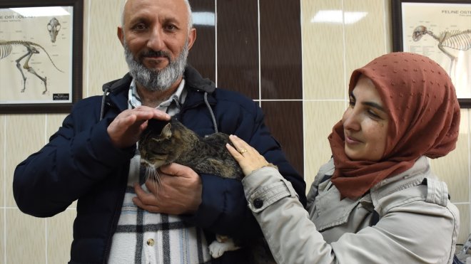 Enkazdan çıkarılan kedileri 'Nane' için İzmir'den Malatya'ya döndüler