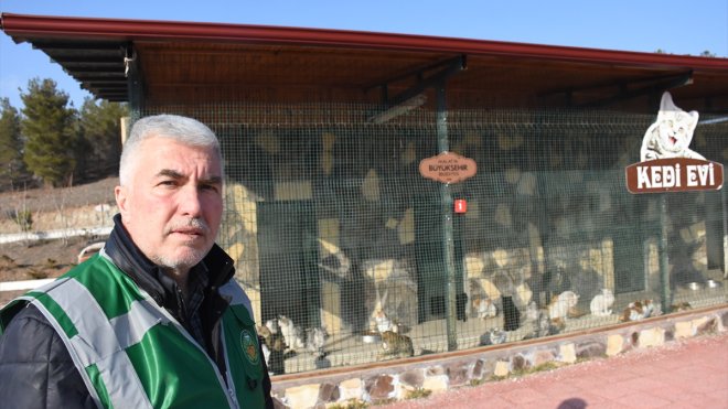 Enkazlardan kurtarılan kedi ve köpekler sahiplerini bekliyor1