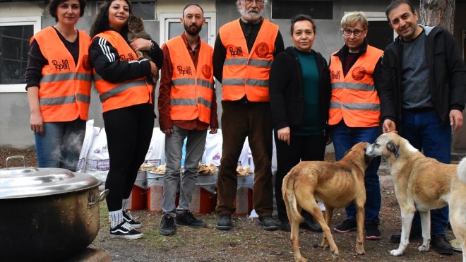 Eskişehirli hayvanseverler deprem bölgesindeki sahipsiz hayvanlara 1,5 ton mama ulaştırdı1