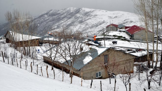 Van, Bitlis, Hakkari ve Muş'ta kar etkili oldu