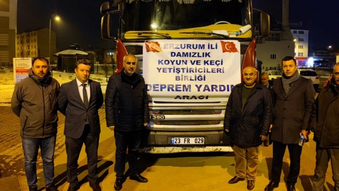 Hatay'da depremde hayvanları telef olan besicilere Erzurum'dan 427 küçükbaş gönderildi