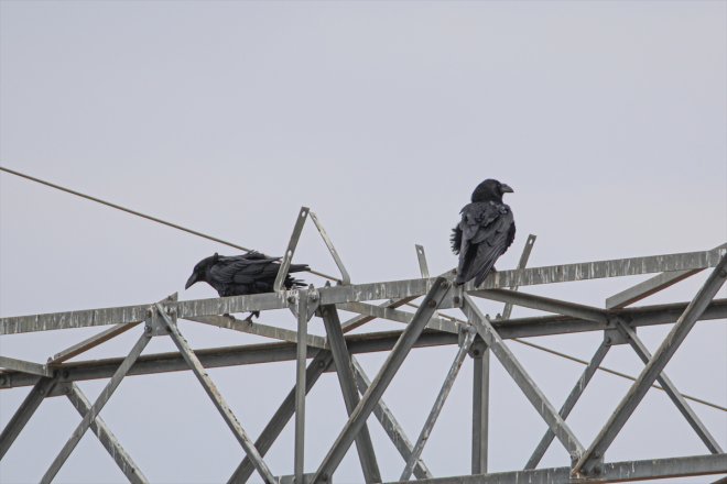 güney Baharın başladı yarımküreden Dağı