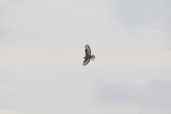 geldiği IĞDIR Dağı