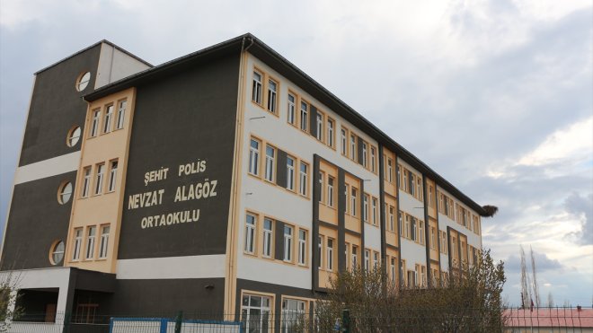 Baharın müjdecisi leylekler Iğdır'da bir okulun çatısına yuva yaptı