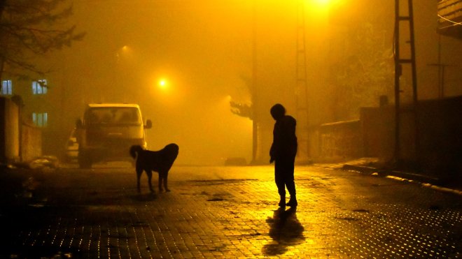Kars'ta yoğun sis etkili oldu
