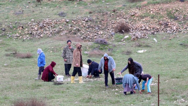 Depremzedeler karaya vuran balıkların yaşaması için seferber oldu