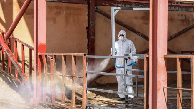 Van'da canlı hayvan pazarı şap hastalığına karşı ilaçlandı