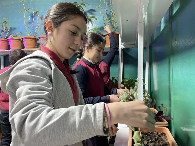 başarı kavrıyor ilişkisini öğrenciler yetiştirerek emek ile Ağrılı çiçek 8