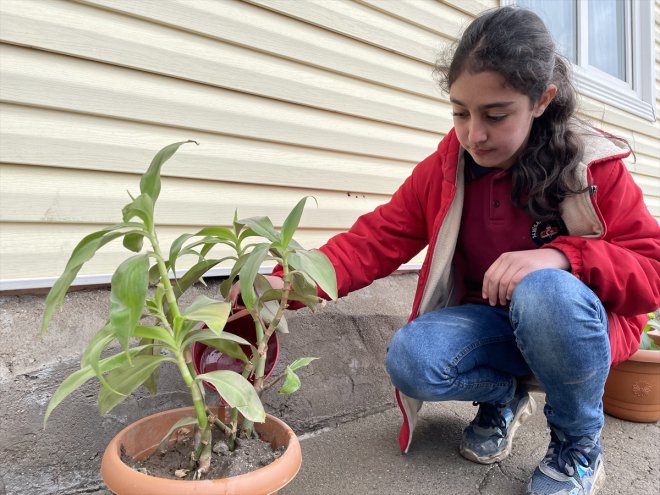başarı öğrenciler kavrıyor Ağrılı ile ilişkisini yetiştirerek emek çiçek 10