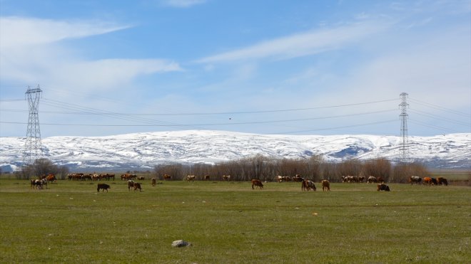 ARDAHAN - Karların eridiği Ardahan
