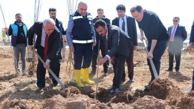 Çaldıranlı çiftçilere 12 bin 100 meyve fidanı dağıtıldı1