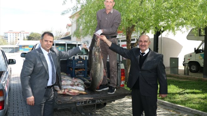 Elazığ'da kaçak avlandığı belirlenen 2,5 ton balık ele geçirildi