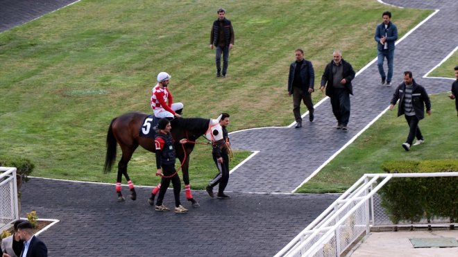 Elazığ Hipodromu açıldı1