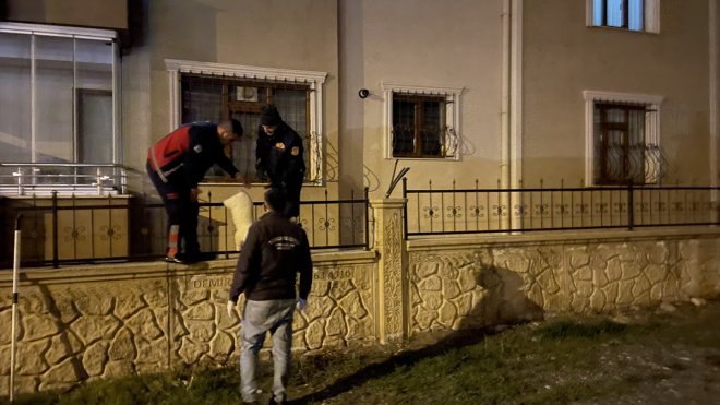 Erzincan'da ayağı korkuluk demirlerine saplanan kediyi itfaiye ekipleri kurtardı