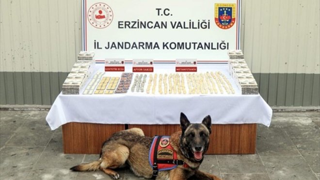 Erzincan'da yuttukları uyuşturucuyla yakalanan İran uyruklu 3 kişi tutuklandı