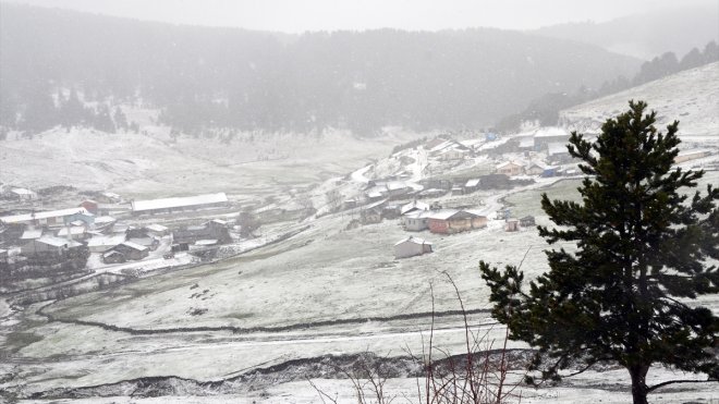 Erzurum, Kars ve Ardahan'da kar etkili oldu