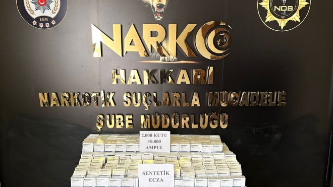 Hakkari'de 2 bin kutu ilaç ele geçirildi