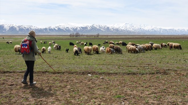 Hakkarili besiciler baharın gelmesiyle hayvanlarını meralara çıkarmaya başladı
