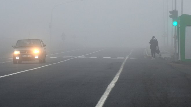 Kars ve Ardahan'da sis etkili oldu