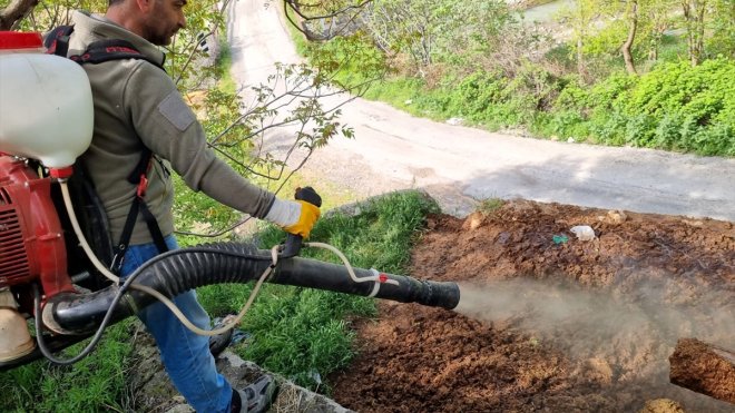 Keban Belediyesince larva öncesi ilaçlama çalışması başlatıldı