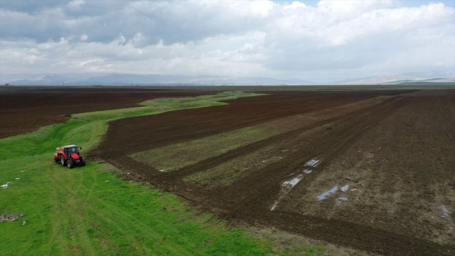 Muş'ta bu yıl şeker pancarı üretiminde "rekor" hedefleniyor