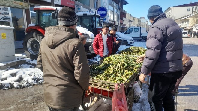 Muş'ta dağlardan toplanan çiriş otu ilgi görüyor